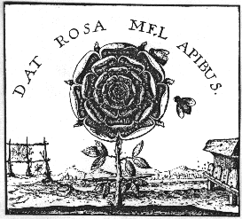 Sub Rosa